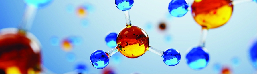 Vitamins & Minerals Vitamins & Minerals