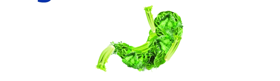 Digestive Health Digestive Health