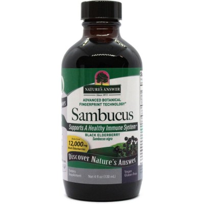 Sambucus Black Elder Berry