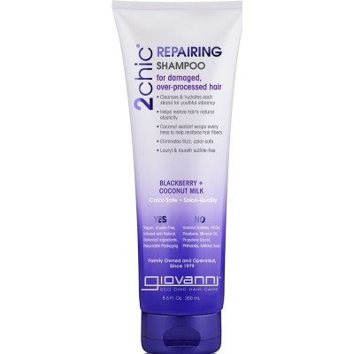 2chic Repairing Shampoo