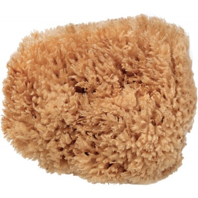  Eco-Harvested Body Sea Sponge 1unit
