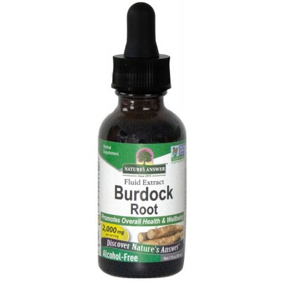 Burdock Root