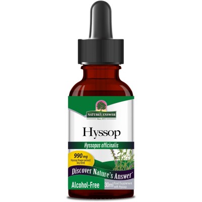Hyssop Herb